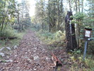 photo thumbnail #1