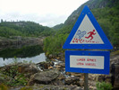 photo thumbnail #3