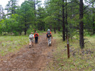 photo thumbnail #5