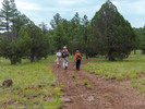 photo thumbnail #8