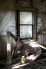 photo thumbnail #12