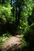 photo thumbnail #9
