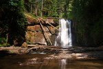 Featured Full Photo