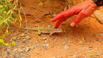 photo thumbnail #5
