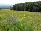 photo thumbnail #14