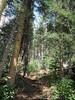 photo thumbnail #11