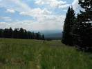 photo thumbnail #13