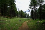 photo thumbnail #6