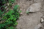photo thumbnail #9