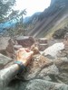 photo thumbnail #1