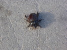 photo thumbnail #2