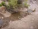 photo thumbnail #9