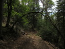 photo thumbnail #1