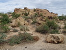 photo thumbnail #1
