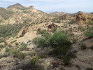 photo thumbnail #5