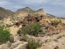 photo thumbnail #8