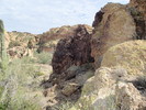 photo thumbnail #10
