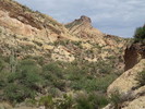 photo thumbnail #11