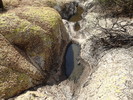 photo thumbnail #15