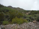 photo thumbnail #10