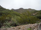 photo thumbnail #11
