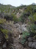 photo thumbnail #12