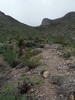 photo thumbnail #14