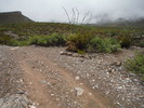 photo thumbnail #11
