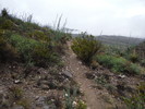 photo thumbnail #12