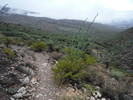 photo thumbnail #13