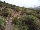 photo thumbnail #14