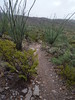 photo thumbnail #15