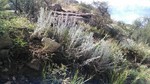 photo thumbnail #10