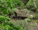 photo thumbnail #8