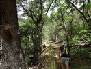 photo thumbnail #9