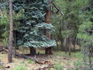 photo thumbnail #10