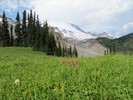 photo thumbnail #6