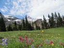 photo thumbnail #7