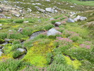 photo thumbnail #12