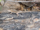 photo thumbnail #14