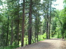 photo thumbnail #12