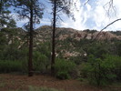 photo thumbnail #1