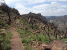 photo thumbnail #14