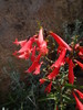 photo thumbnail #15