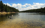 photo thumbnail #1