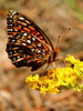 photo thumbnail #13