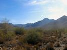 photo thumbnail #1