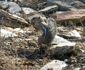 photo thumbnail #5