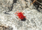 photo thumbnail #7