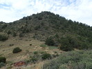 photo thumbnail #10